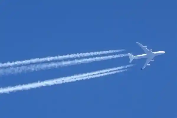 阿根廷波音737客机撞鸟引发发动机爆炸 紧急降落险情再现