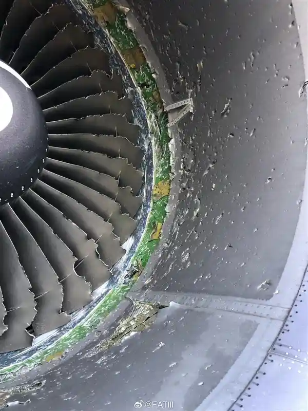 美国波音767发动机撞鸟引发空中大火：紧急报废！