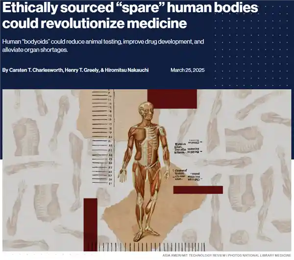 《仿生人会梦见电子羊？科学家呼吁打造类丧尸人体研究新方向》