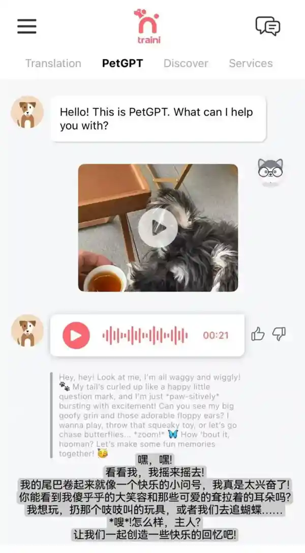 《突破次元壁！AI神器引爆宠物圈：精准解读狗狗12种情绪密码》