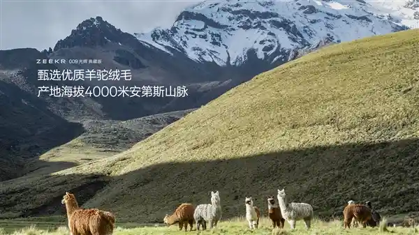 《极氪009典藏版首发：3克24K纯金加持，国产MPV天花板登场！》
