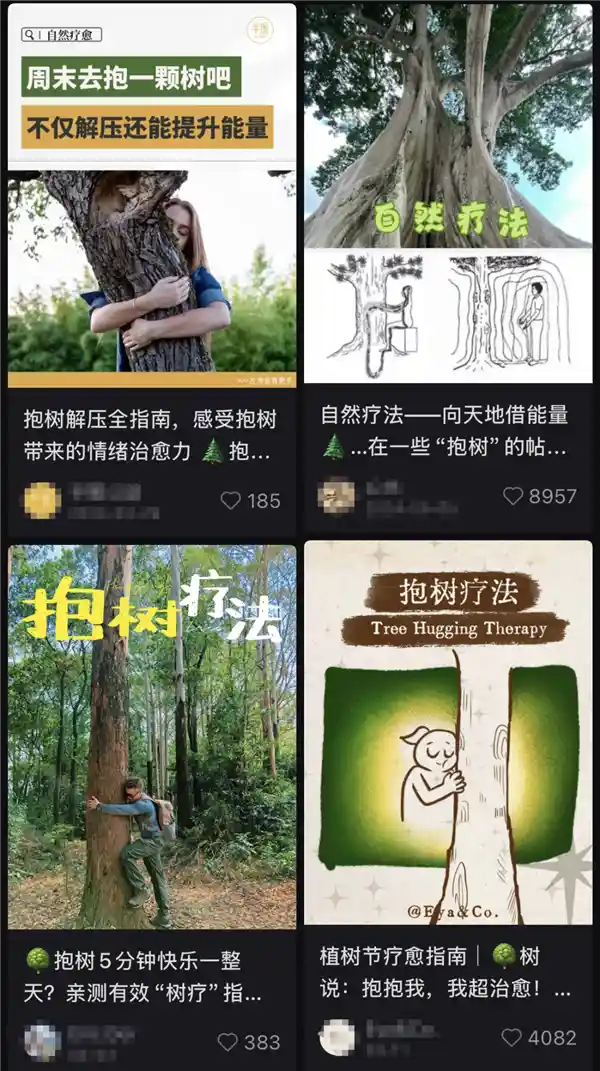 《告别内耗：这项鲜为人知的秘密武器，强烈推荐体验》