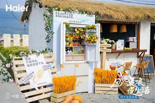 《海尔麦浪冰箱×小红书慢人节：用科技焕新生活，治愈你的快节奏日常》