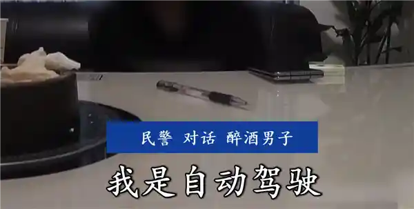 醉卧驾驶座，酣睡高速路：男子酒后启动自动驾驶终获刑
