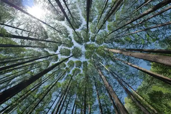 废弃不是废物！科学发现：人类尿液可成为宝贵的氮肥资源
