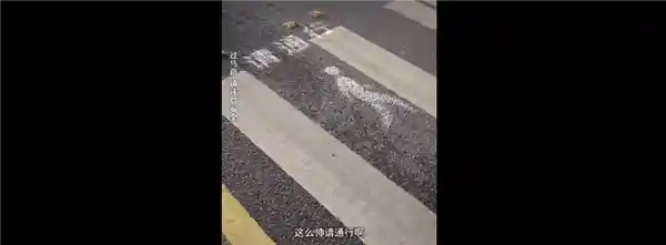 华为智车投影黑科技走红网络：礼让行人创意设计获赞无数，选配升级引热议