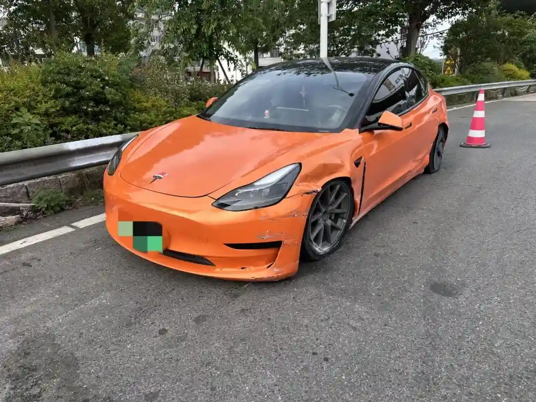 高速爆胎惊魂！特斯拉失控瞬间吓坏乘客，男子暖心抱慰却未及时报警