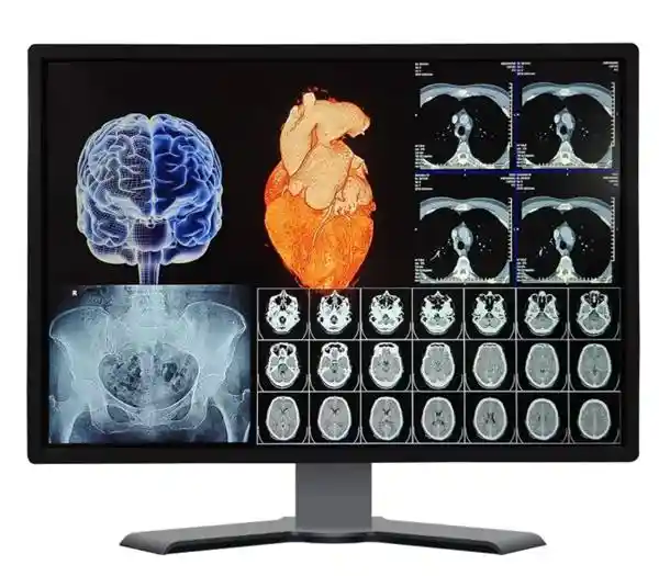 天马微电子亮相SID 2025： redefine the future of display with Perfect Screen technology