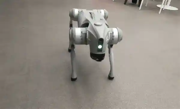 [宇树科技办公楼惊现狗啃式楼梯设计：完整台阶成稀缺景观]