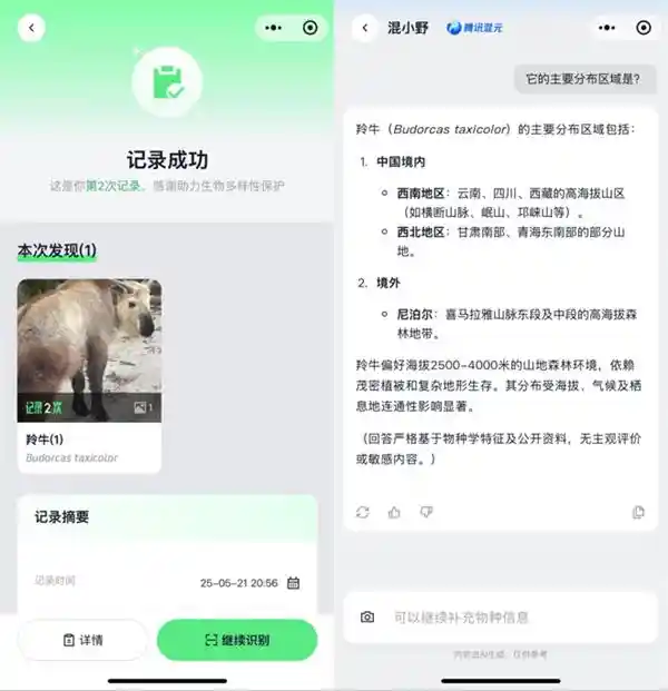 拍一拍，识万物！腾讯‘野朋友计划’携手混元推出物种翻译官