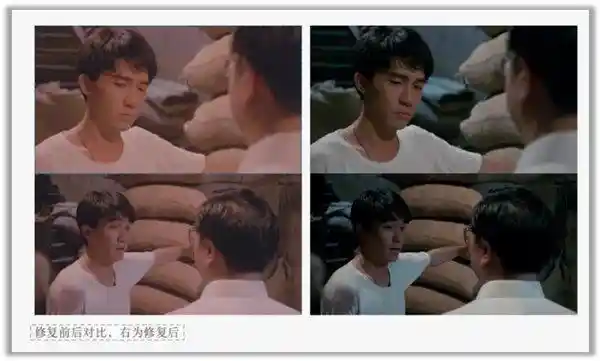 《智绘未来：字节跳动用AI点亮社会价值》