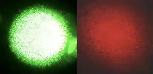 纯三色激光：近视人群的隐形视觉杀手深度揭秘