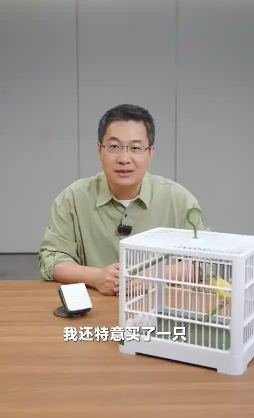 卢伟冰曝光小米MIX Flip 2：锅盖头鸟壁纸萌翻全场，充电瞬间炸毛引热议
