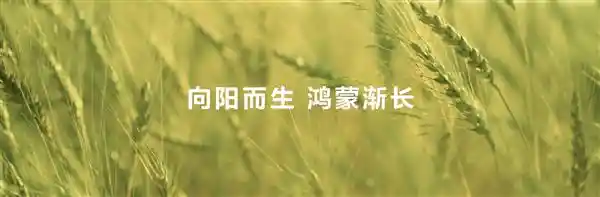 鸿蒙生态再进化：数字内容体验全面升级，共筑开放共赢新未来