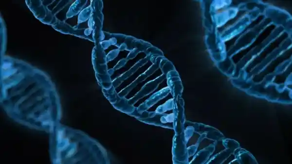 《潜伏的沉默杀手：揭秘每年侵袭5000万人的寄生虫真相》