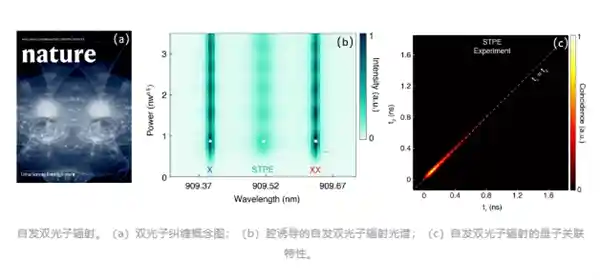 双光子工厂惊艳登场！中大团队打造量子纠缠光源新纪元