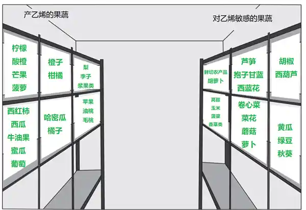 天儿再热也别乱放！这些水果蔬菜放进冰箱反而毁了！