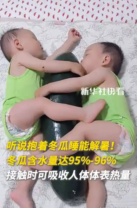 抱冬瓜入眠？夏日降暑新妙招引热议，96%含水量惊呆网友