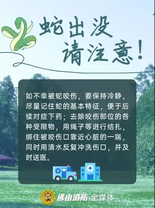 佛山一公园惊现两米巨蟒，消防员成功救助放归自然